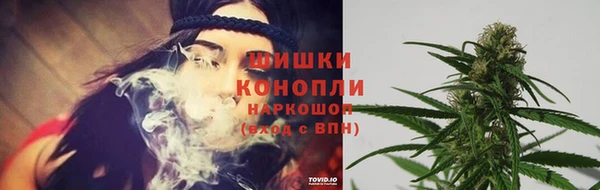 гашик Беломорск