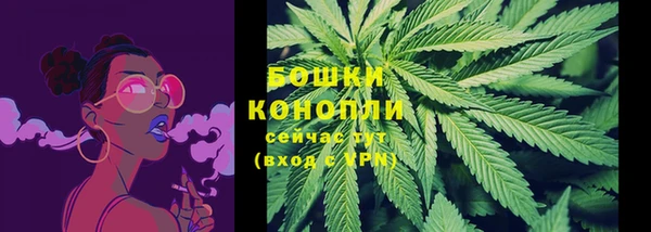 шишки Всеволожск