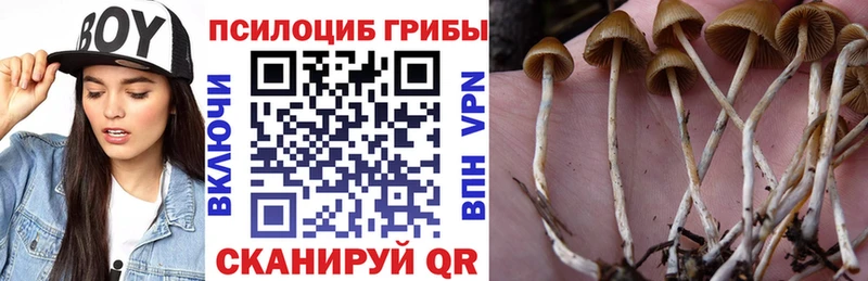 hydra вход  darknet официальный сайт  Галлюциногенные грибы мицелий  Верхняя Пышма 